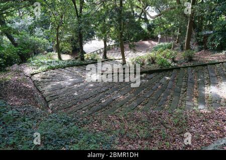 Sentiero escursionistico con scale nella foresta, parco pubblico. Shizuoka, Giappone Foto Stock
