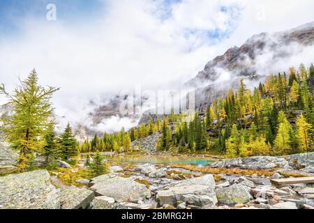 Scena autunnale al Lago o'Hara nelle Montagne Rocciose Canadesi del Parco Nazionale di Yoho con alberi di larice che si dorano sui Laghi di Moor con Yukness Mountain nel b Foto Stock