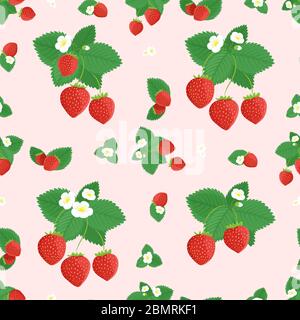 Sfondo con motivo a fragola senza cuciture. Fragole con fiori e foglie verdi su motivo vettoriale rosa senza cuciture Illustrazione Vettoriale