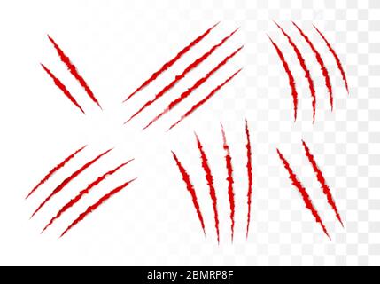 Serie di graffi. Attacco artiglio animali. Illustrazione vettoriale Illustrazione Vettoriale