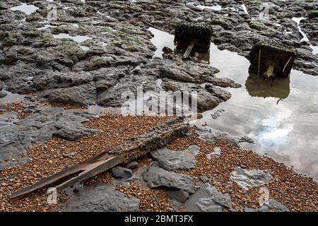 Posti di recinzione antinvasione durante la guerra scoperti con la bassa marea sulla costa di Suffolk Foto Stock