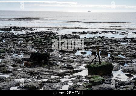 Posti di recinzione antinvasione durante la guerra scoperti con la bassa marea sulla costa di Suffolk Foto Stock