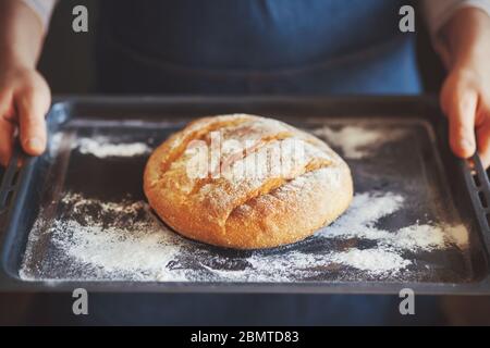 Un cuoco in un grembiule blu contiene un vassoio di pane rotondo di grano fatto in casa. Torta fatta in casa. Pane fresco. Foto Stock