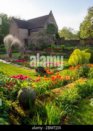 Chenies Manor Sunken giardino con tulipani vibranti, stagno, statua e Pavilion Building preso ad un angolo.Reds, fiori d'arancio; acqua spray prendere il sole. Foto Stock