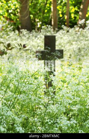 Croce di pietra o crocifisso in un cimitero con fiori selvatici. Spazio di copia, verticale. Foto Stock