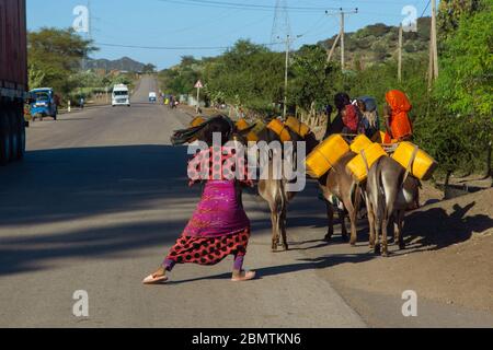 Mekele, Etiopia - 2018 novembre: Trasporto di acqua con gli asini sulla strada dell'Etiopia Foto Stock