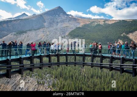 Turisti sulla Columbia icefields Skywalk, nel Jasper National Park, Rocky Mountains, Alberta, Canada Foto Stock