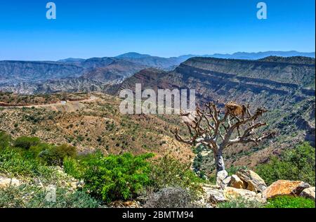 Vista panoramica e colorata valle montuosa, regione Afar, Etiopia Foto Stock