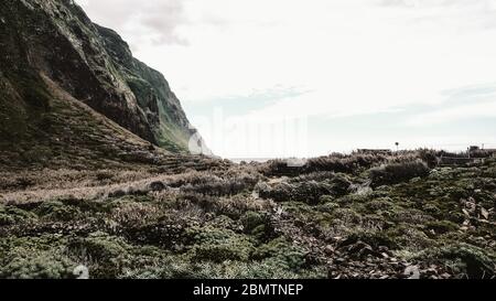 Prato verde con canne accanto ad una montagna Foto Stock