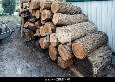 Deposito legna da ardere tagliata sotto capanna e tronchi di quercia di legno preparato per tritare e tagliare a casa cortile. Deposito in legno presso la casa yard.Timber Foto Stock