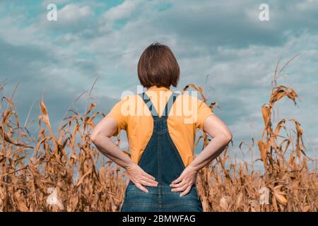 Vista posteriore del coltivatore di mais con tute di bib che guardano sopra fiero al suo campo di mais maturo prima della raccolta Foto Stock