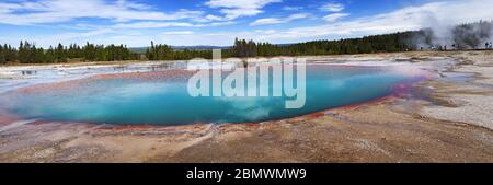 Piscina turchese, sorgenti prismatiche, parco nazionale di Yellowstone, Wyoming Foto Stock