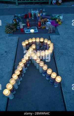 Las Vegas, NV, Stati Uniti. 10 maggio 2020. Ricordando Roy Horn sulla Las Vegas Strip a Las Vegas, Nevada, il 10 maggio 2020. Credit: Damairs carter/Media Punch/Alamy Live News Foto Stock