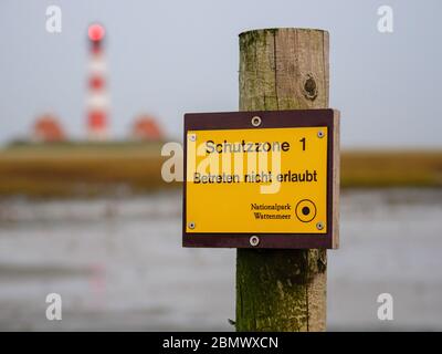 Salzwiesen, Leuchtturm Westerhoverland, Nationalpark Wattenmeer, Unesco Weltnaturerbe, Schleswig-Holstein, Deutschland Foto Stock