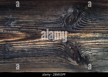 Rustico in legno con alberi di crescita anelli. Foto Stock