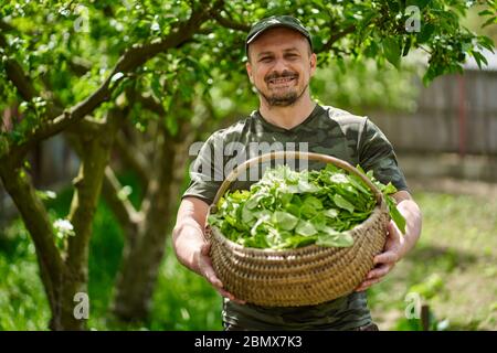 Felice agricoltore che trasporta un cesto di orache (spinaci francesi) attraverso gli alberi di mele nel giardino Foto Stock