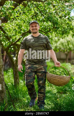 Felice agricoltore che trasporta un cesto di orache (spinaci francesi) attraverso gli alberi di mele nel giardino Foto Stock