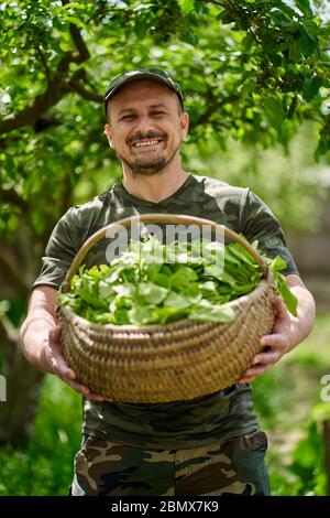 Felice agricoltore che trasporta un cesto di orache (spinaci francesi) attraverso gli alberi di mele nel giardino Foto Stock