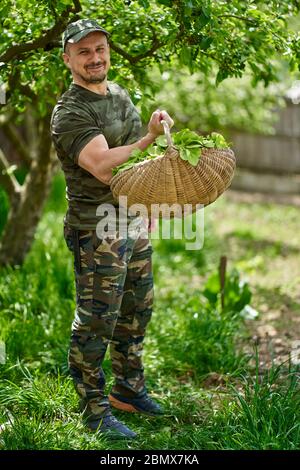 Felice agricoltore che trasporta un cesto di orache (spinaci francesi) attraverso gli alberi di mele nel giardino Foto Stock