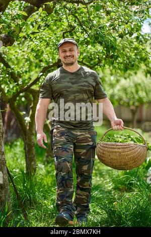 Felice agricoltore che trasporta un cesto di orache (spinaci francesi) attraverso gli alberi di mele nel giardino Foto Stock