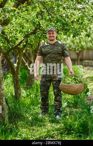 Felice agricoltore che trasporta un cesto di orache (spinaci francesi) attraverso gli alberi di mele nel giardino Foto Stock