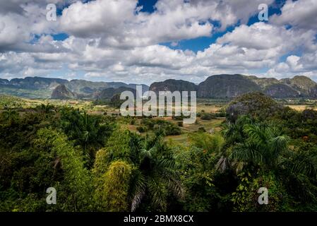 Val di Vinales, conosciuta per le sue formazioni rocciose geomorfologiche calcaree uniche chiamate mogote. Cuba Foto Stock