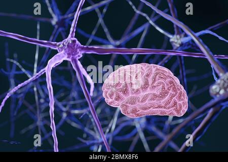 Cellule neurone cervello astratte con nodi di collegamento. Cellule di sinapsi e neuroni che inviano segnali chimici elettrici. Neuroni interconnessi con pul elettrico Foto Stock