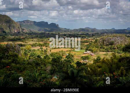 Val di Vinales, conosciuta per le sue formazioni rocciose geomorfologiche calcaree uniche chiamate mogote. Cuba Foto Stock