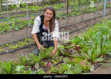 Lugano, Svizzera - 18 ottobre 2016: Donna nel suo orto biologico a Lugano in Svizzera Foto Stock