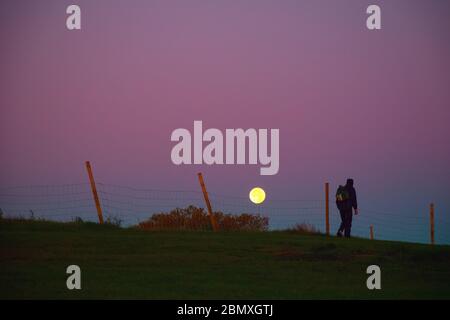 La mattina presto con la luna che si abbassa e un camminatore sulla collina del Parlamento a Hampstead Heath, Londra Foto Stock