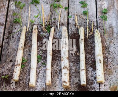 asparagi bianchi con sfondo nero su tavolo di legno Foto Stock