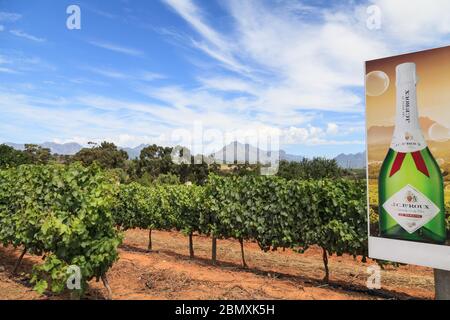 Vineyards and landscape near Franschhoek in the Cape Winelands, Western Cape, South Africa Foto Stock