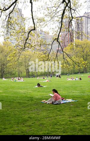 Leggere un libro sul prato in Sheep Meadow, Central Park, New York City. Foto Stock