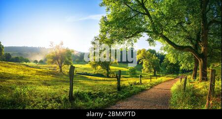 Paesaggio rurale con un sentiero, alberi e prati sulle colline, cielo blu e piacevole sole caldo dal sole basso Foto Stock