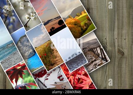 collage di quattro stagioni, concetto di ciclo di vita della terra del pianeta Foto Stock