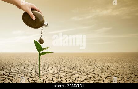 Un uomo versa l'acqua da un pallone su una pianta nel deserto. Siccità e scarsità di acqua causate dal riscaldamento globale Foto Stock