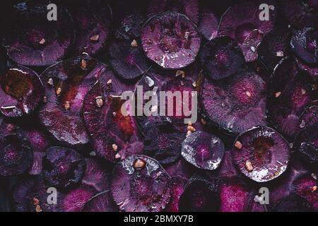 Fette di carota viola con sale rosa e olio d'oliva per la tostatura. Fotografia macro, vista dall'alto. Foto Stock