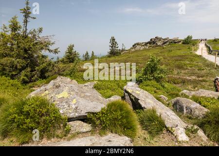 Auf dem Gipfel des Grossen Arber Foto Stock