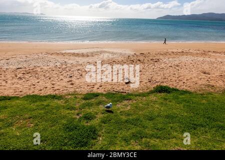 Spiaggia a Cable Bay, Nuova Zelanda Foto Stock