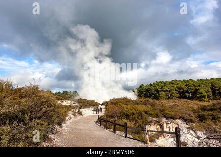 Wai-o-Tapu, caldera di Reporoa, nella zona vulcanica di Taupo in Nuova Zelanda. Foto Stock