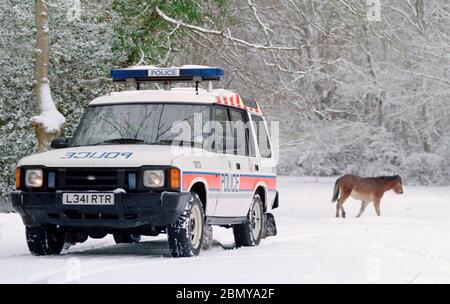 Hampshire Constabulary ha segnato auto di polizia in pattuglia nella zona di Lyndhurst della New Forest durante una caduta di neve invernale, Lyndhurst, New Forest, Hampshire, Inghilterra, Regno Unito Foto Stock