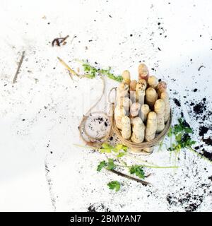 cibo asparagi bianchi con fondo bianco, oro, legno Foto Stock