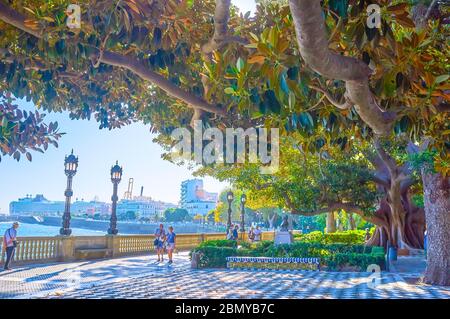 CADICE, SPAGNA - 24 SETTEMBRE 2019: La piacevole passeggiata lungo la passeggiata in Alameda Apodaca e Marques de Comillas Gardens sotto l'ombra di una lussureggiante diffusione Foto Stock