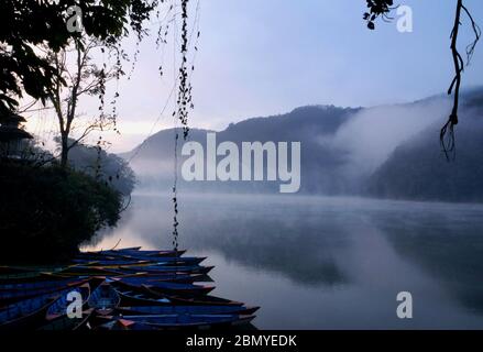 Barche colorate che riposano su una mattina nebbiosa lungo il lago Phewa a Pokhara - una popolare attrazione turistica di Pokhara. Foto Stock