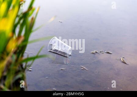 Una tazza di plastica usa e getta è stata gettata nel fiume. Inquinamento della natura. Inquinamento idrico. Tutela dell'ambiente. L'idea dei pericoli della plastica Foto Stock