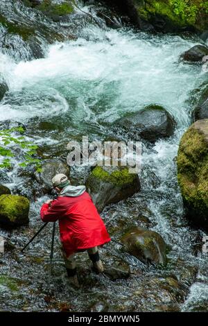 L'uomo fotografa mentre si trova a Horsetail Creek vicino alle cascate Horsetail, che si trova a 2.75 miglia a est delle cascate Multnomah sulla storica Columbia Foto Stock