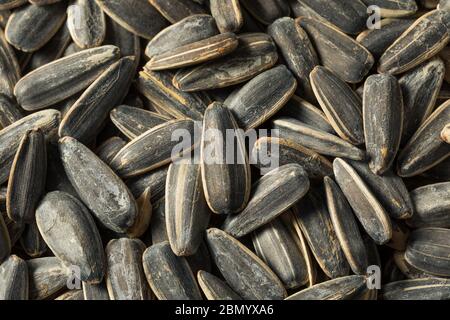 Semidenti di girasole organici crudi in una ciotola Pronto a mangiare Foto Stock
