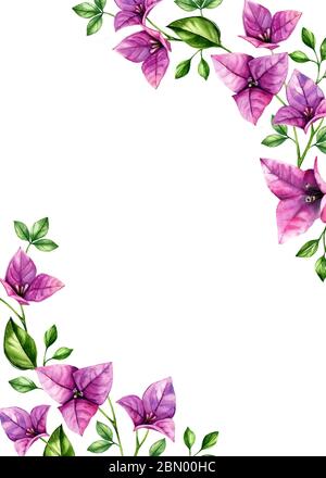 Sfondo floreale acquerello. Modello di scheda A5 verticale e posizione per il testo. Fiori di buganvillea viola negli angoli. Illustrazioni botaniche tropicali Foto Stock