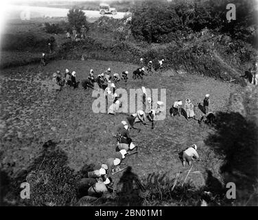 [ 1946 Giappone - Okinawan Donne che lavorano ] - Okinawan donne che indossano i copricapo che lavorano in un risone a Okinawa, 1946 (Showa 21). Sul retro, la jeep del fotografo militare statunitense può essere visto. stampa in argento gelatina del xx secolo. Foto Stock