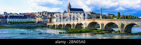 Viaggio e monumenti della Francia. Città medievale Blois, famoso castello reale della valle della Loira Foto Stock